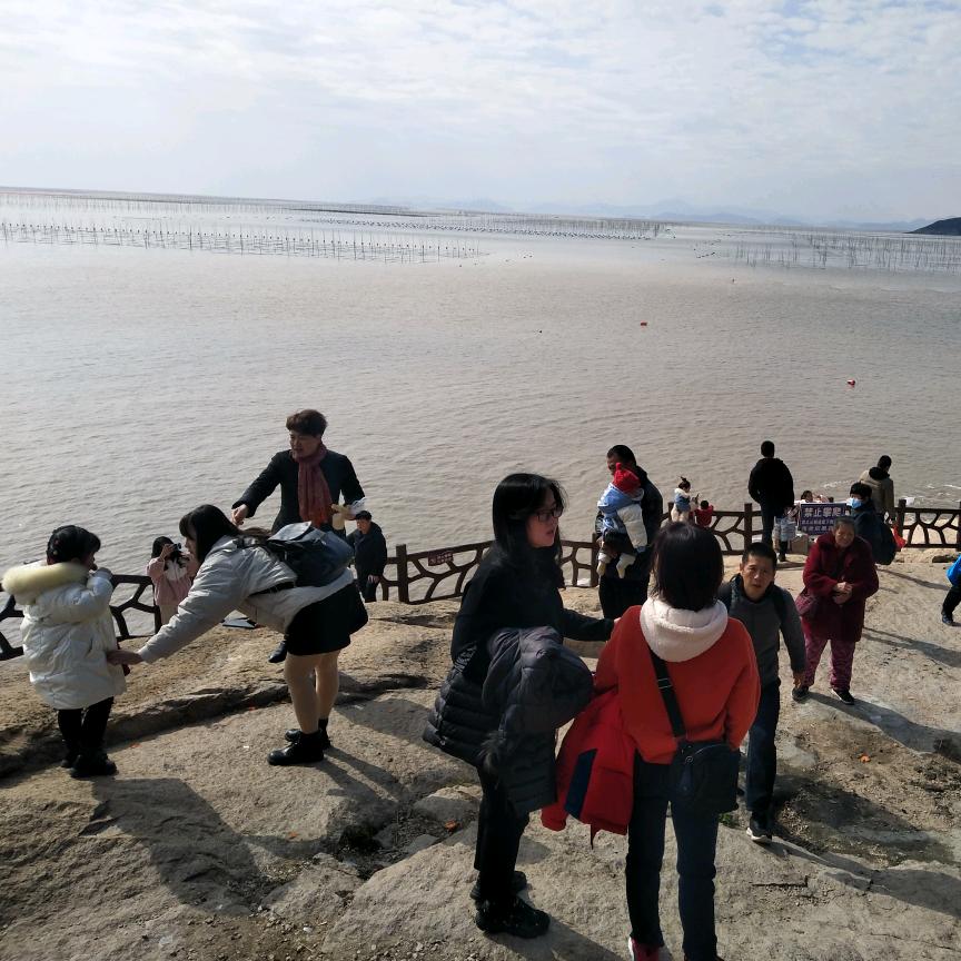 海犳哥