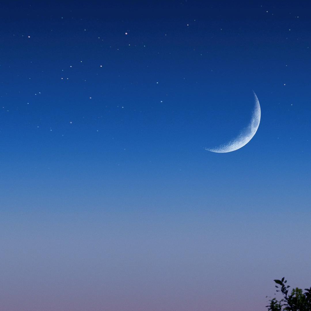 近我者就富🇨🇳