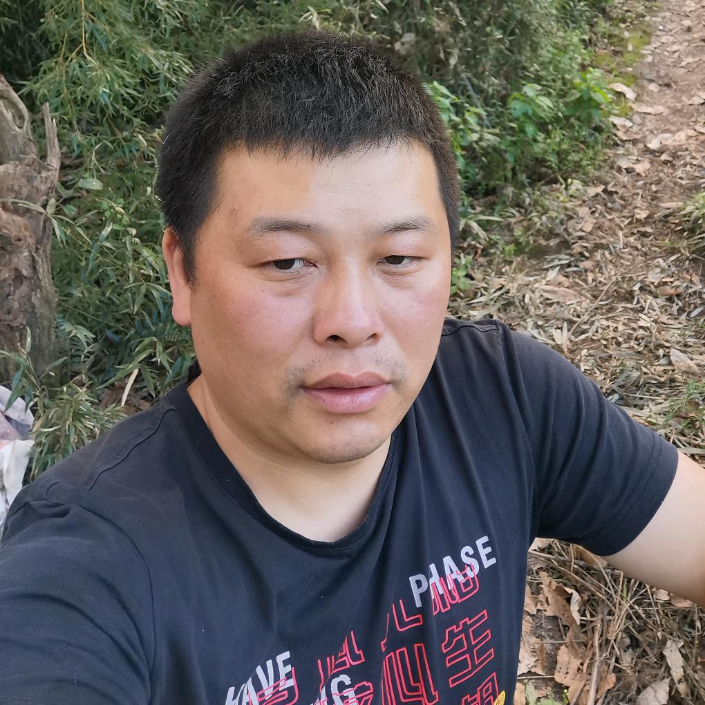 定格