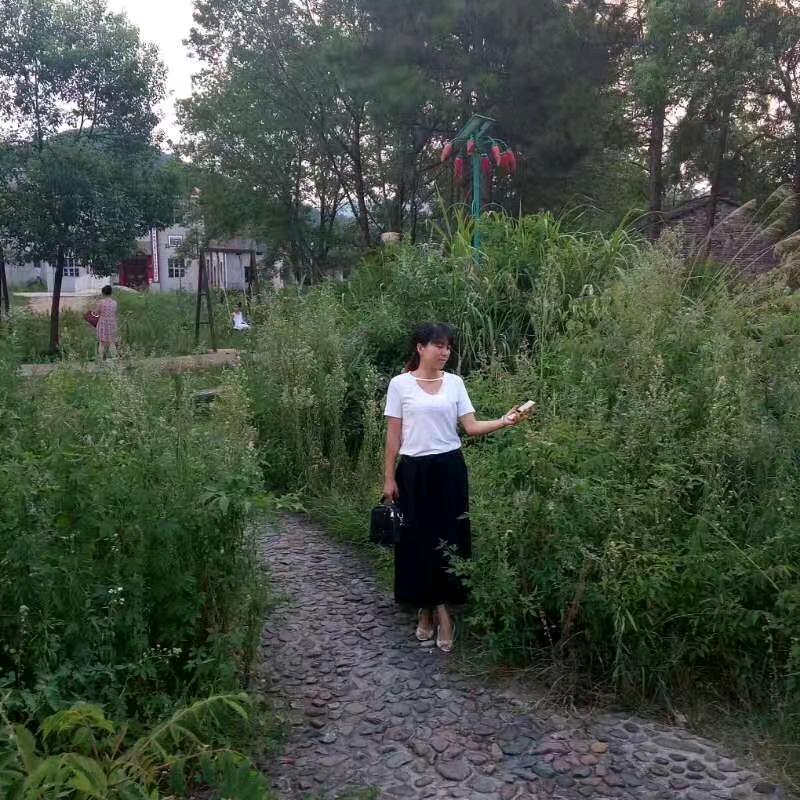 鸿雁