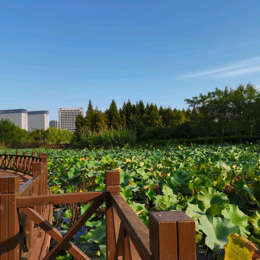 让生活更美好与惬意