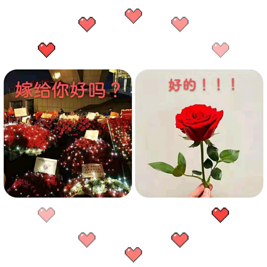 晨起曦风落