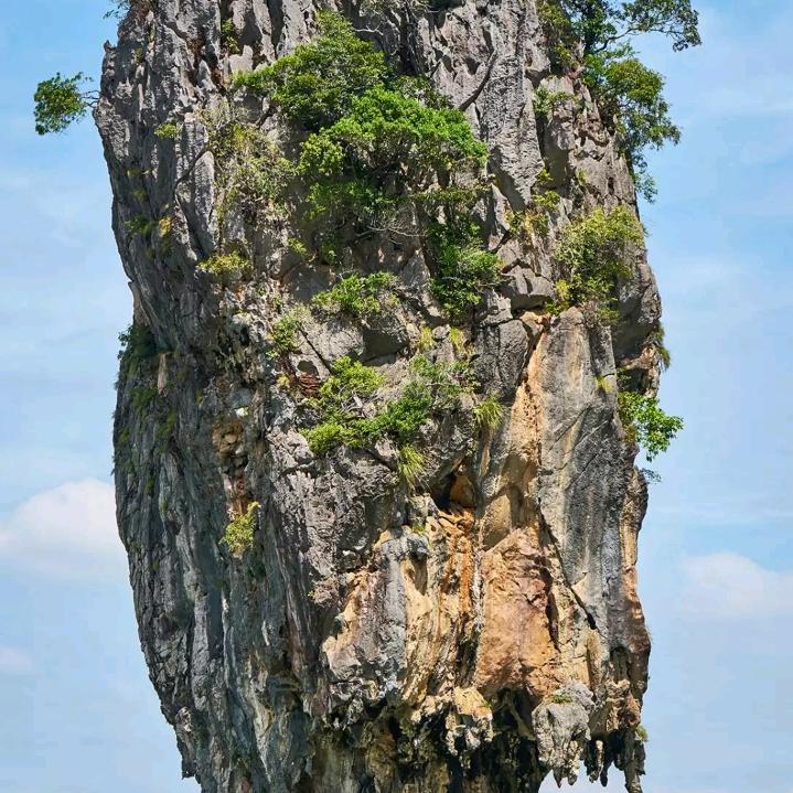 健康一生1314巜飞虎队》