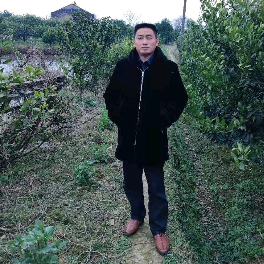 好运莱杨书文（纯粮食酒）