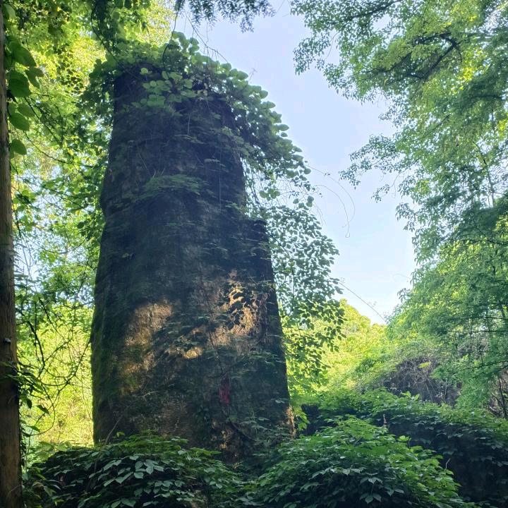 独行山水间