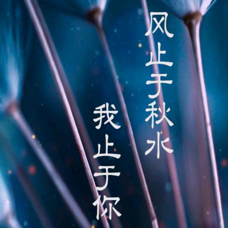风信子