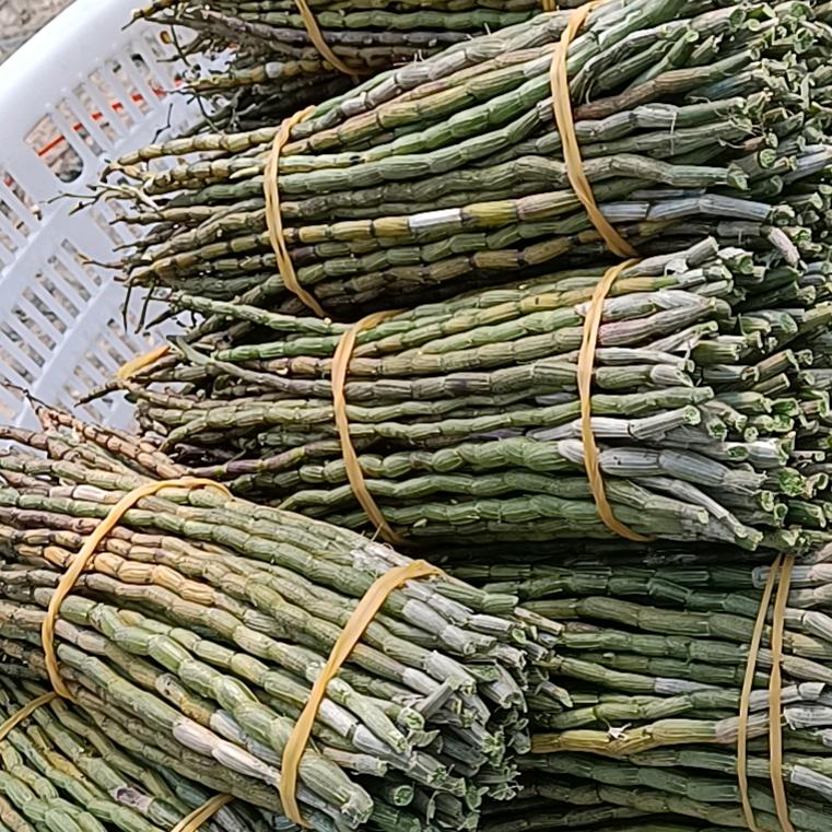 项亨富铁皮石斛