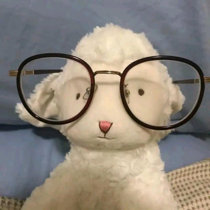 里貌的小🐏