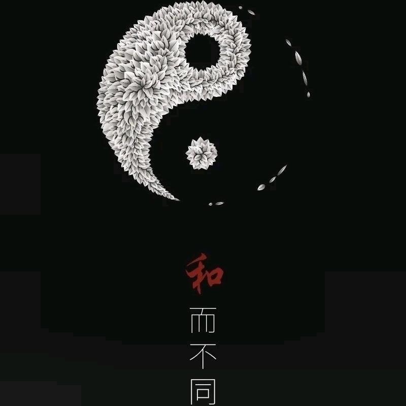 莲蓬子
