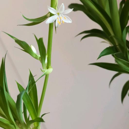 万达百鱼鲜