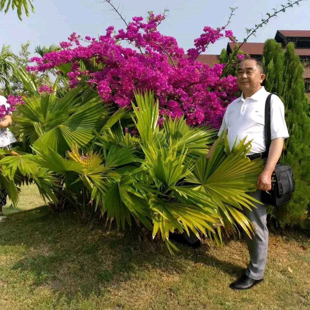 用户阳光大侠