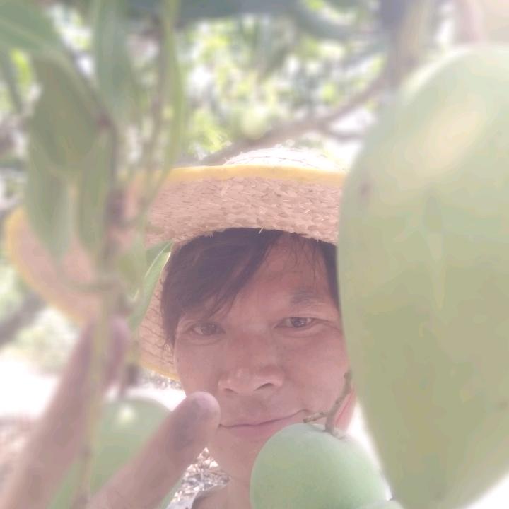 阿雪哥自家生鲜水果店