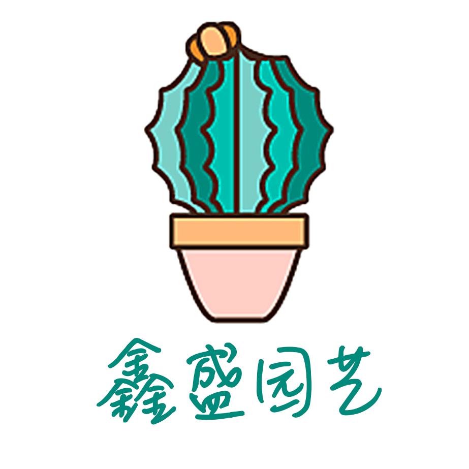 鑫鑫爱玩仙人球
