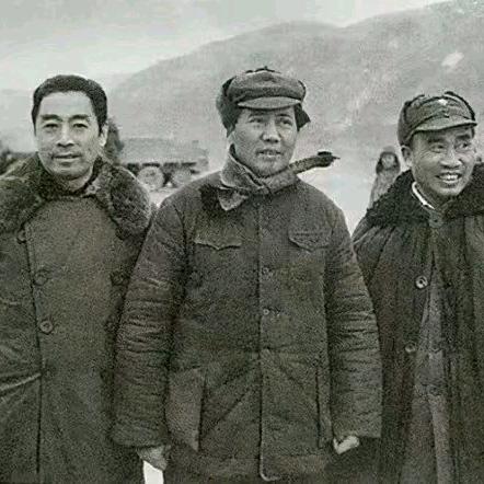不木丂
