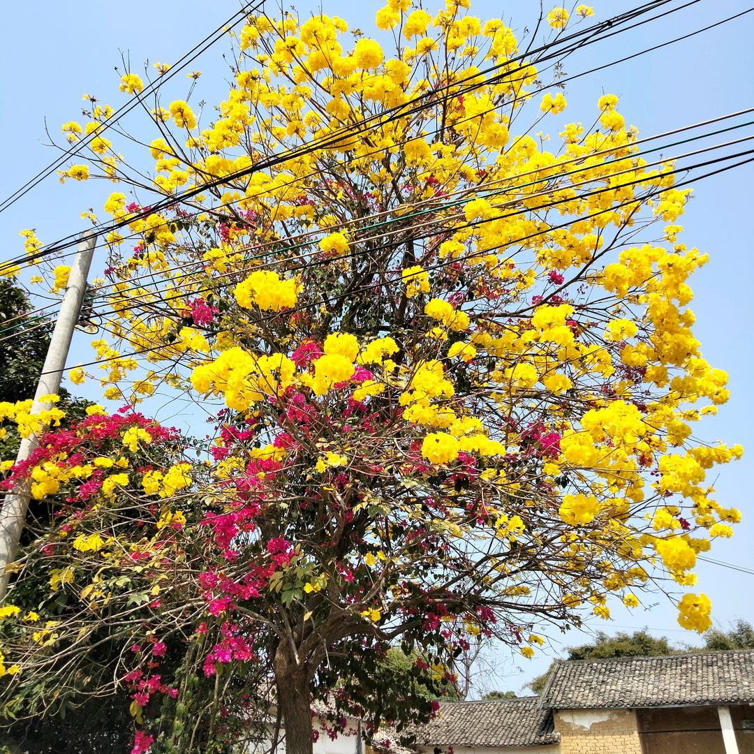 我一定要快乐