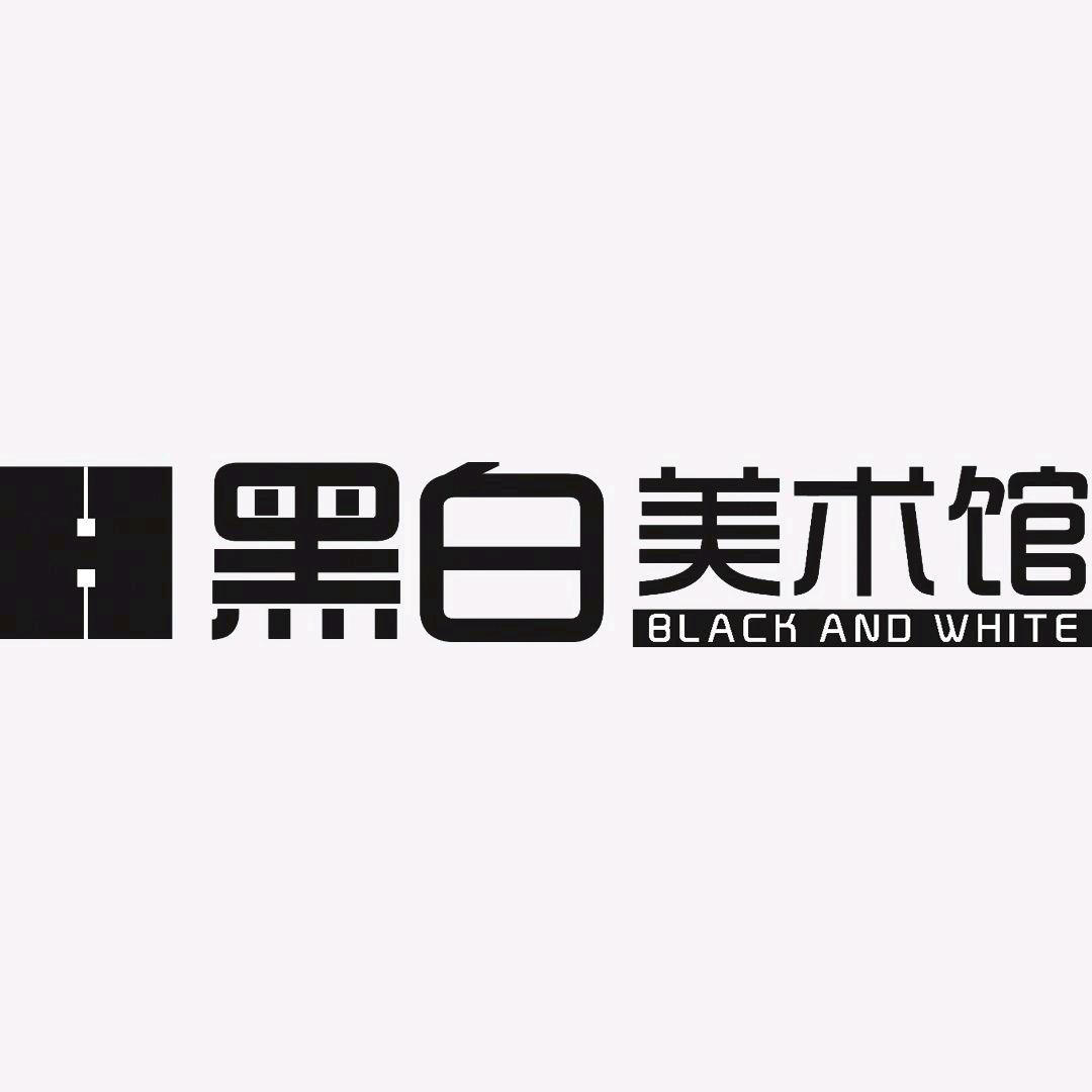 黑白美术馆胡老师