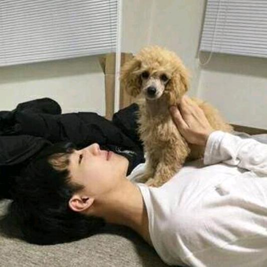 huihui