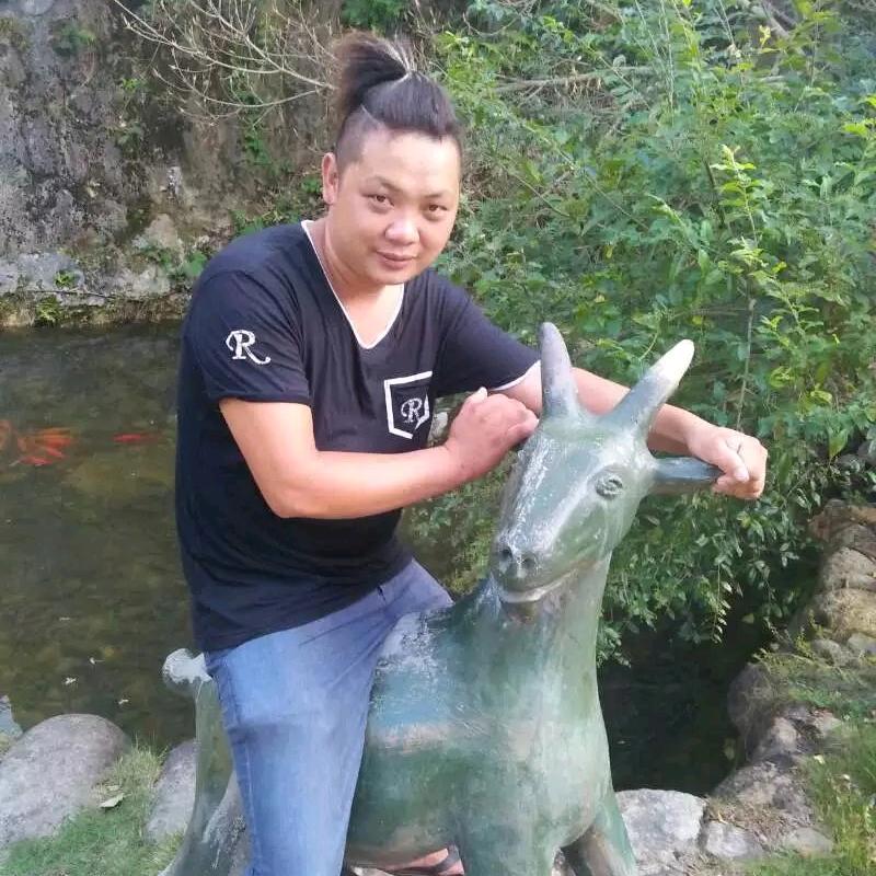 鱼🐟🐟🐟🐟🐟头