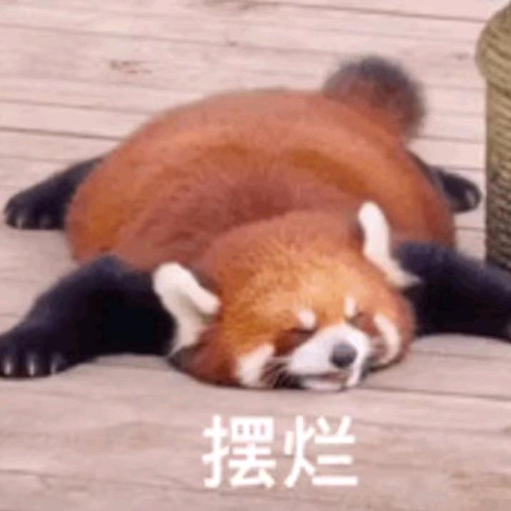 风清雪