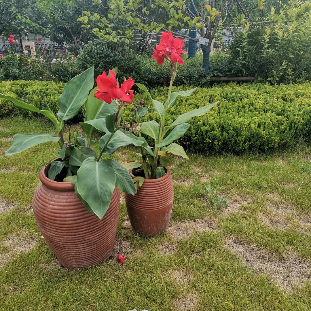 平安建康就是福