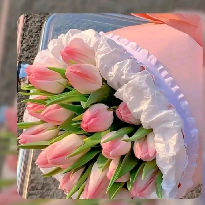 🌸花言悦色🌸