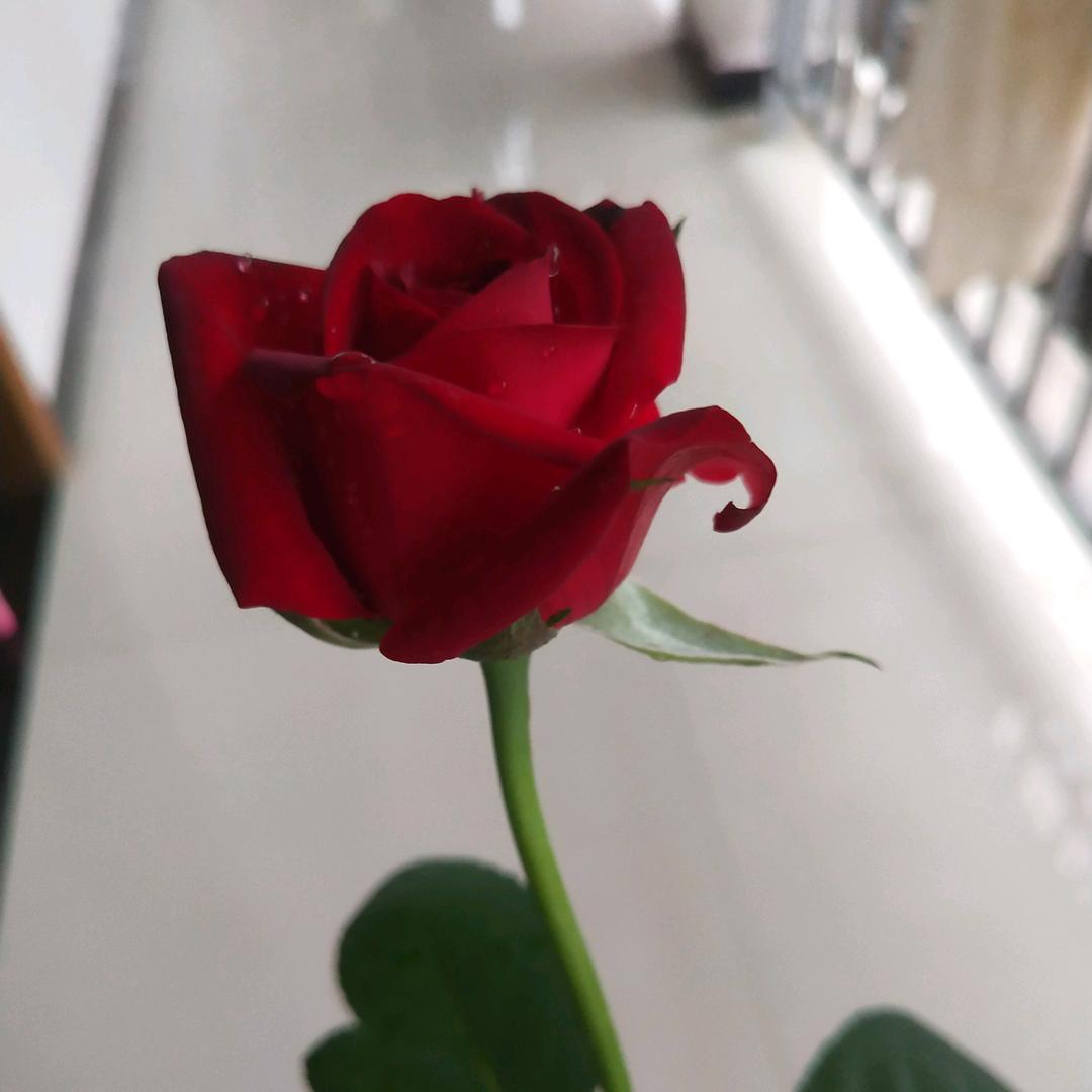 🇨🇳明天会更好💞
