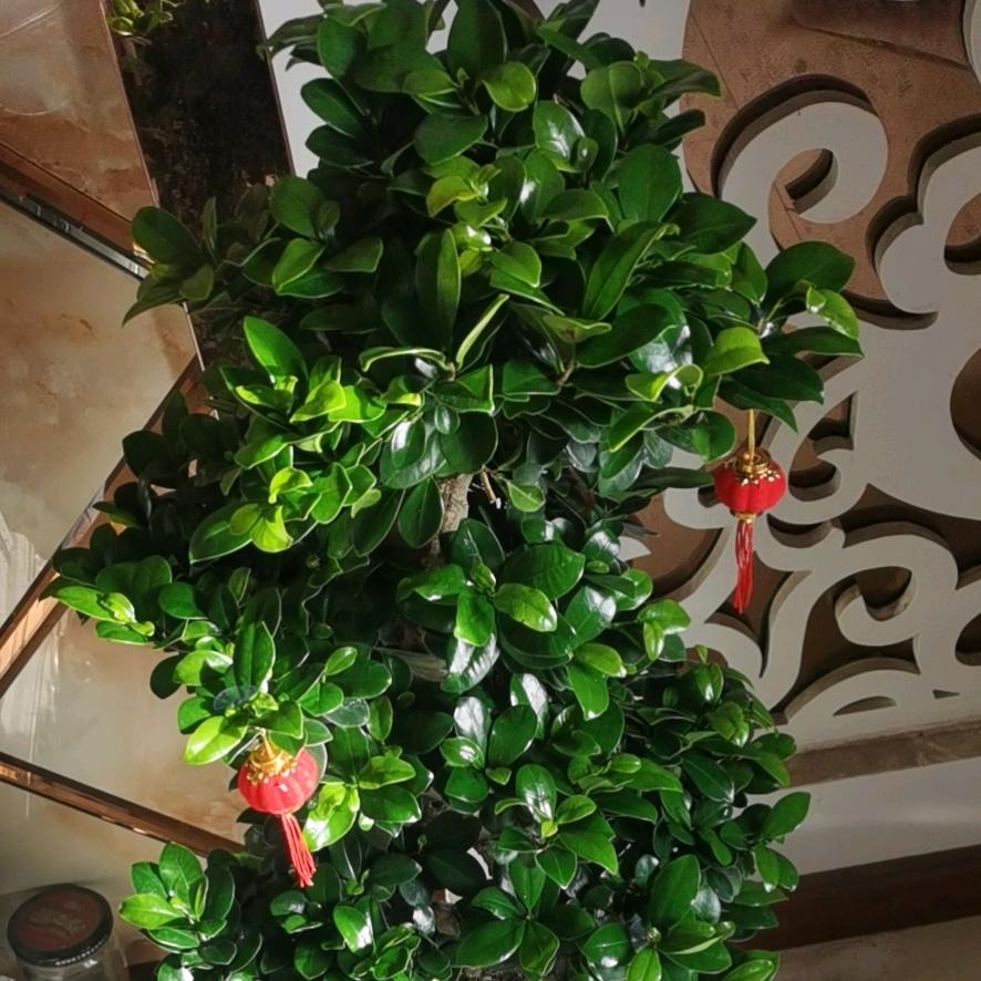 宁夏龙通晟世工贸有限公司