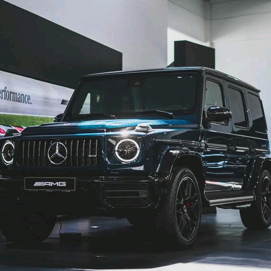 冷鲜肉批发配送