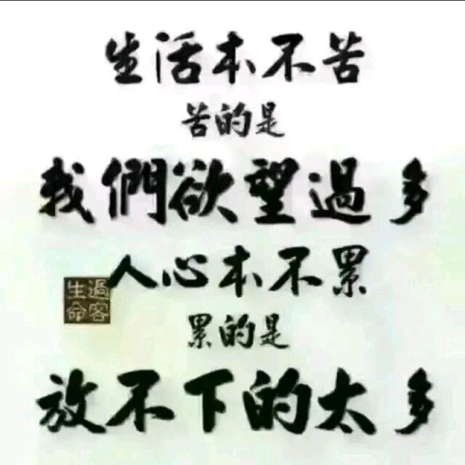 ZLB重生