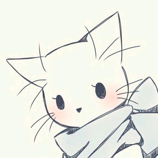 猫小姐的家