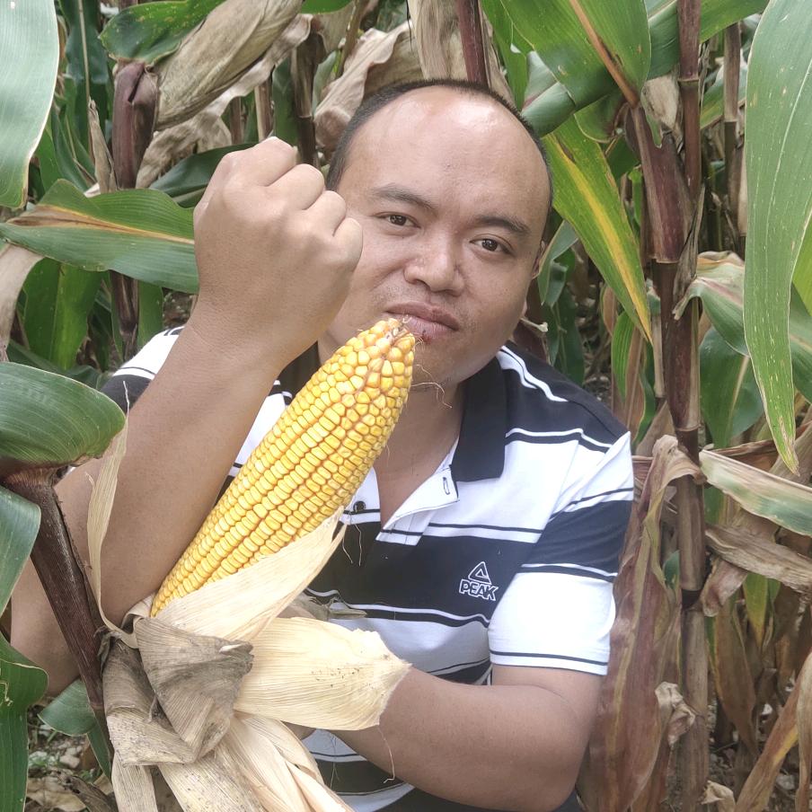 广南那洒小江农资