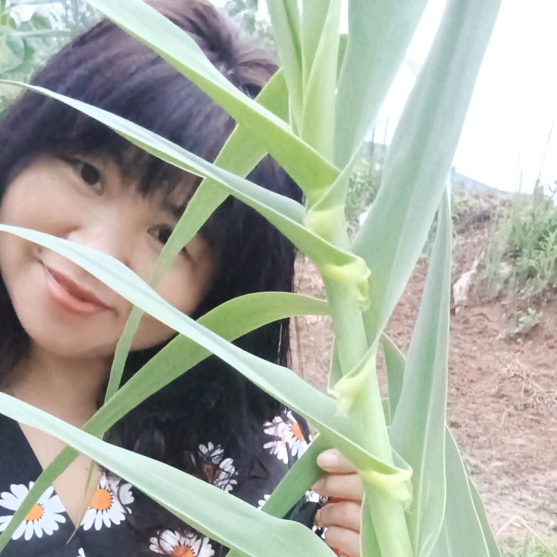 宋姐笑对人生（单身自由自在的生活)