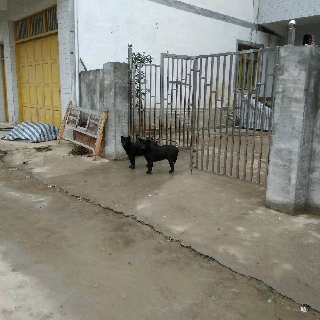 勇者