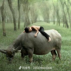壹玖柒玖