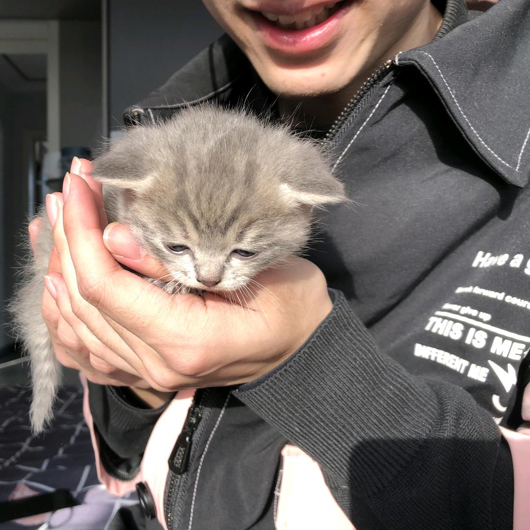 毕竟他是CR7啊💚