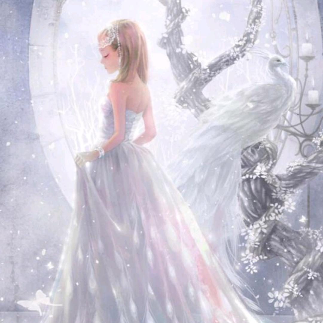 妃雪