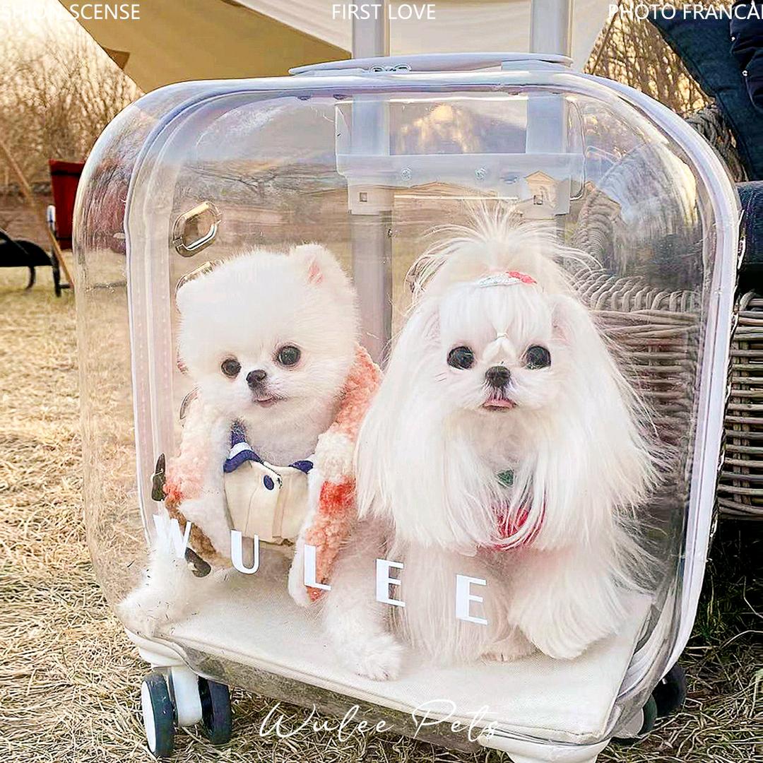 卡迪宠物用品