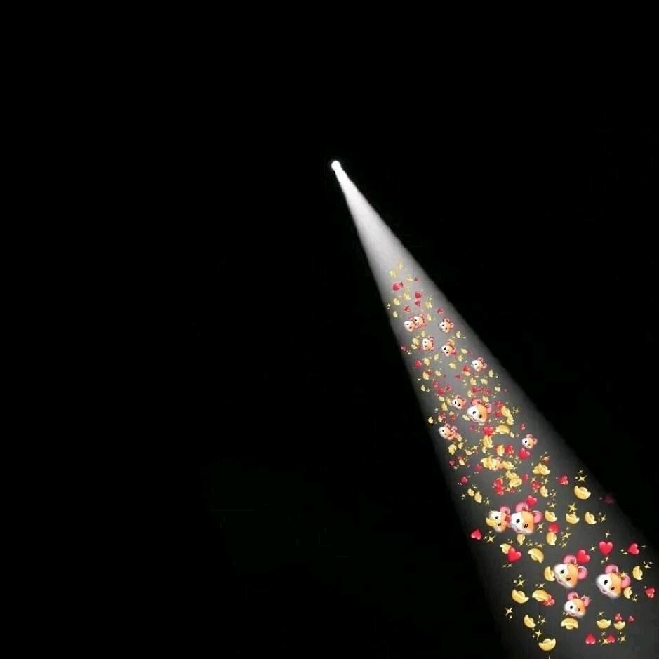 喜欢小家鼠的小李