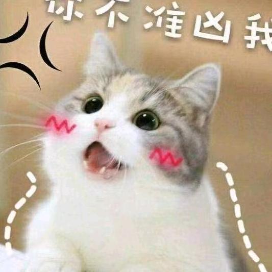 绿荫私推