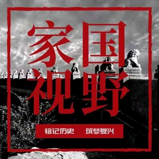 家国视野