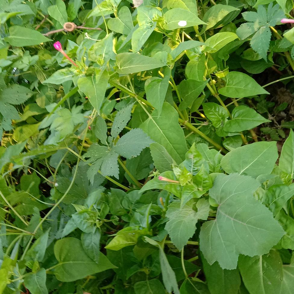 有缘千里来相会