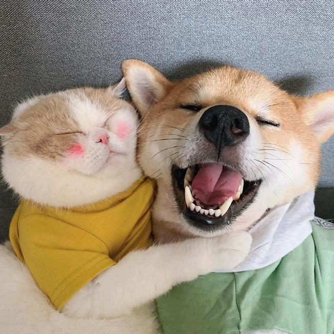 小武的朋友圈🌻