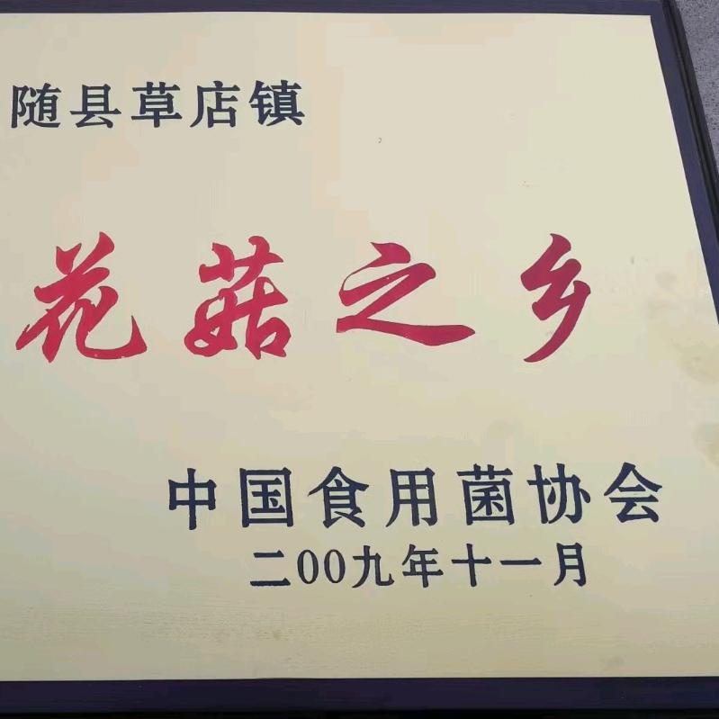淮源香菇