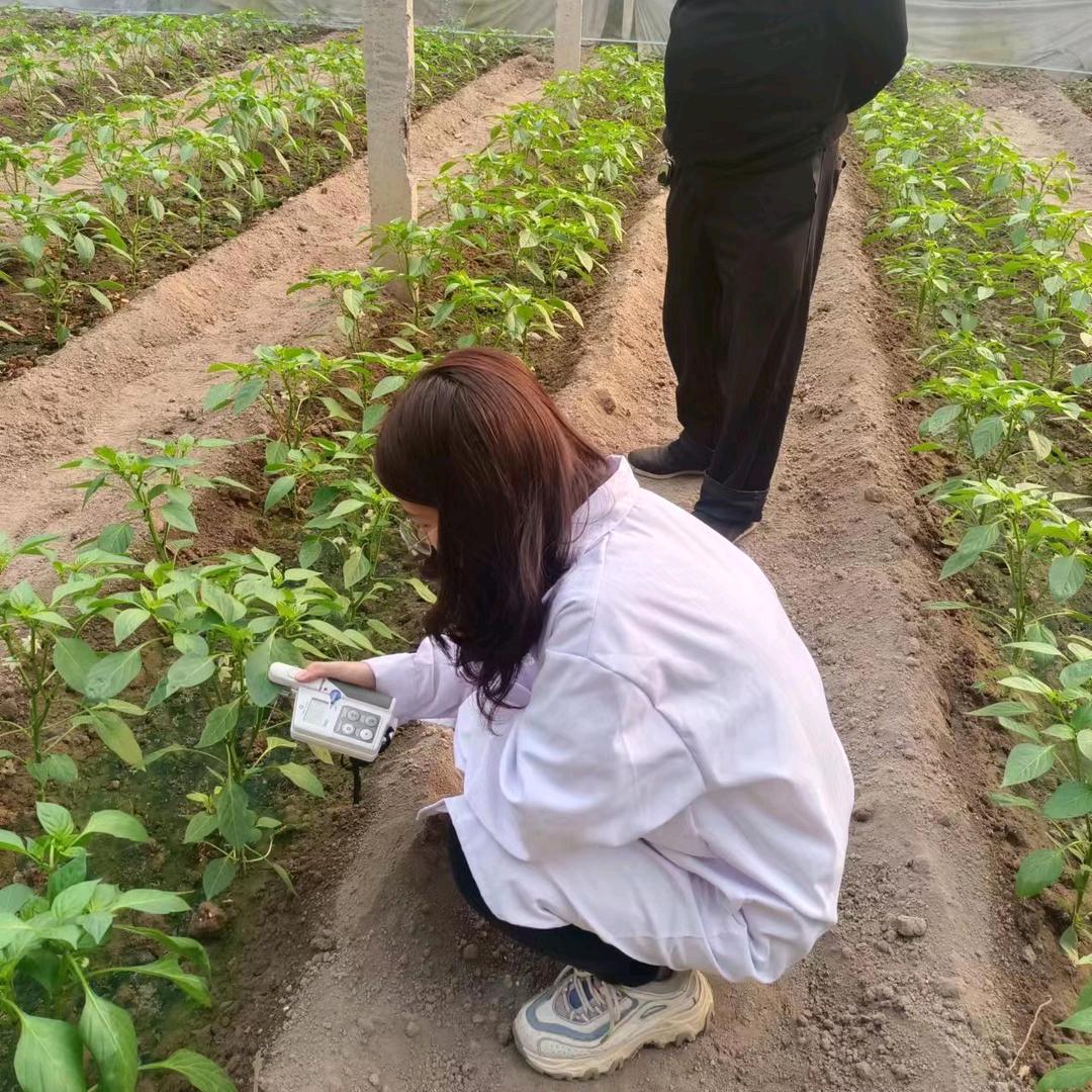 灾害农业研究生