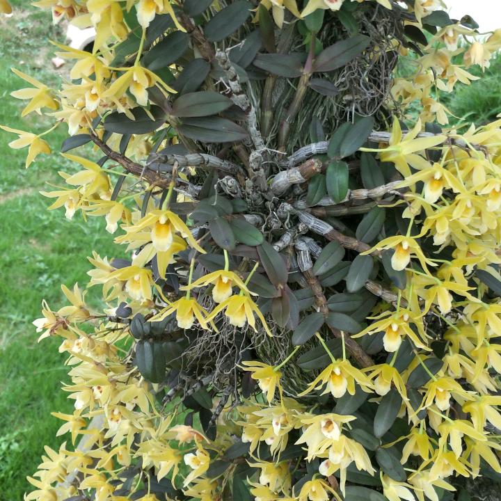 秋风带走落叶🍂