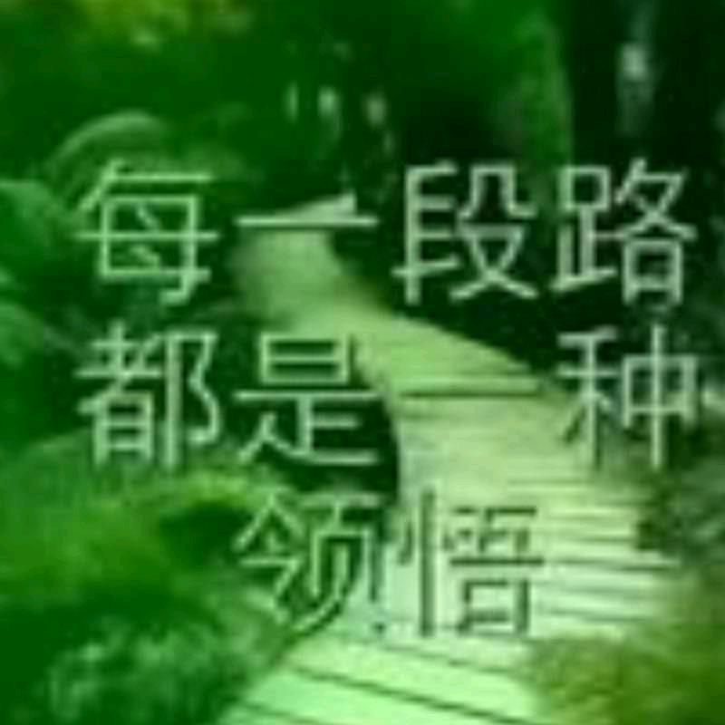 与你同行