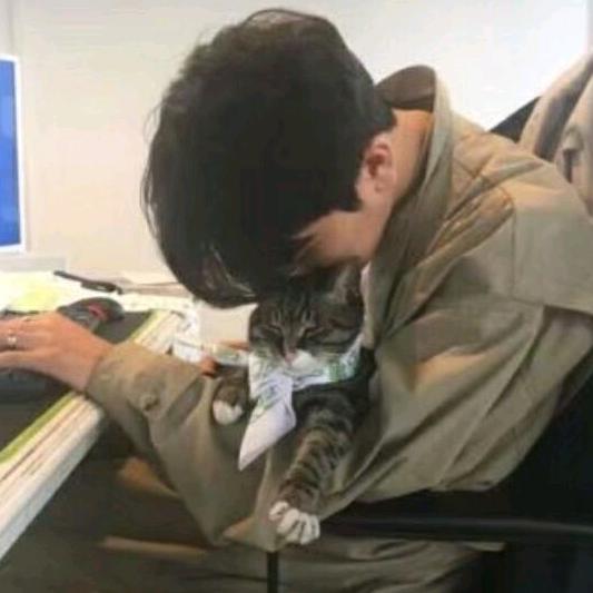 不见回忆