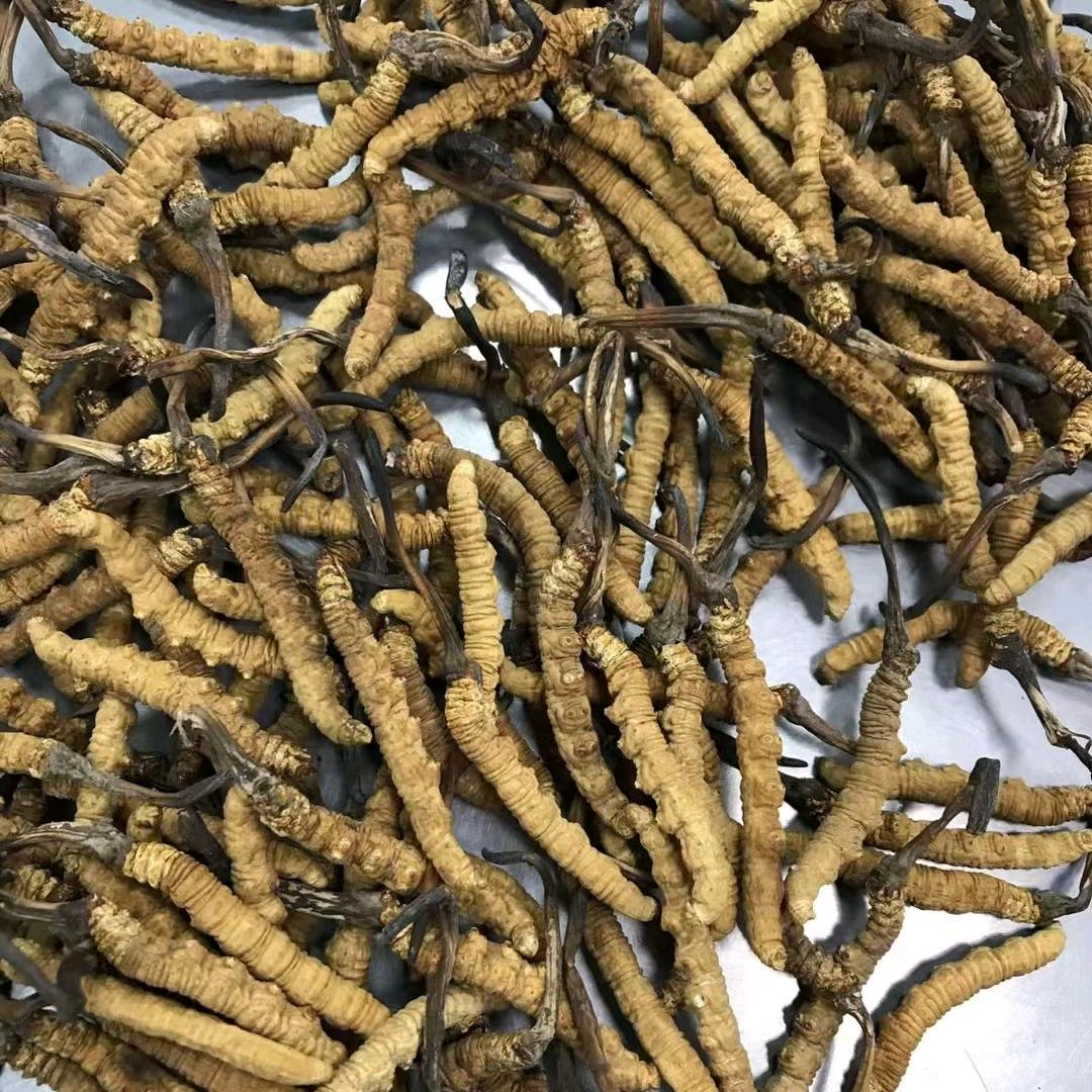 各类养生滋补药材，参茸补品，鱼胶