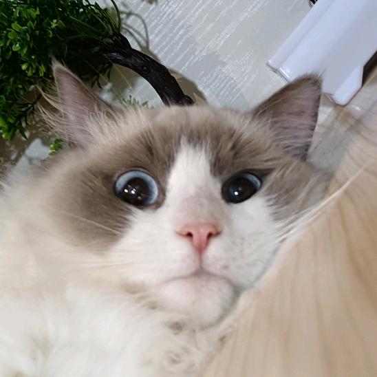 久一名