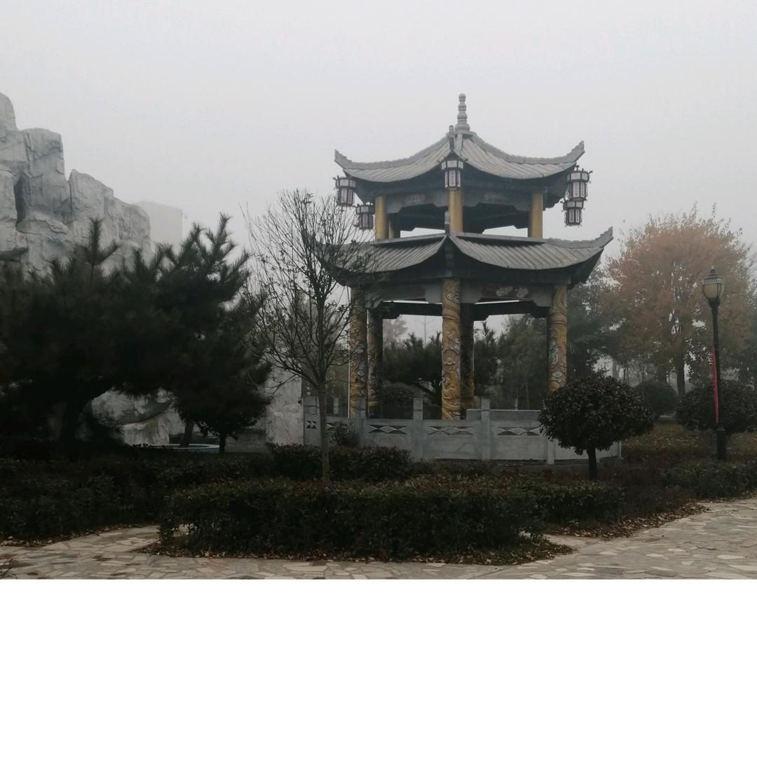 清静雅聚